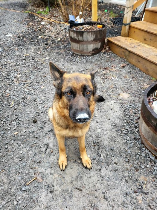 WhatsApp Image 2023-05-02 at 7.21.29 PM