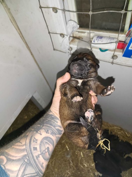 WhatsApp Image 2023-05-02 at 7.21.30 PM